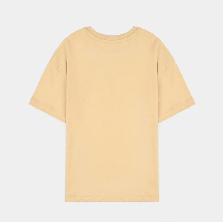 Boys Cotton Jersey T-Shirt Go one step-BROWN